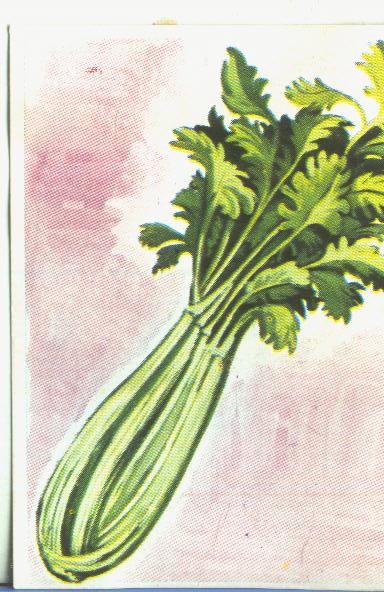 Cromos: Historia Natural numero 454