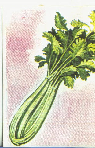 Cromos: Historia Natural numero 454