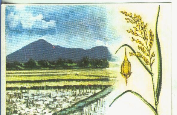 Cromos: Historia Natural numero 457