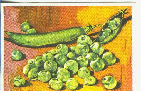 Cromos: Historia Natural numero 466