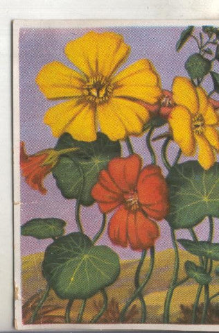 Cromos: Historia Natural numero 471