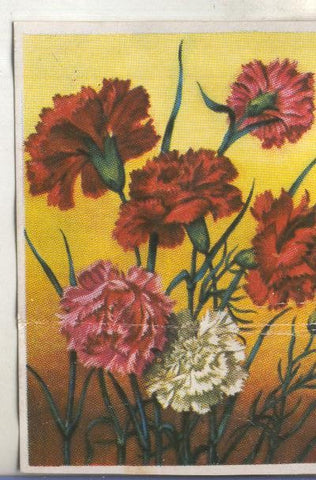 Cromos: Historia Natural numero 472