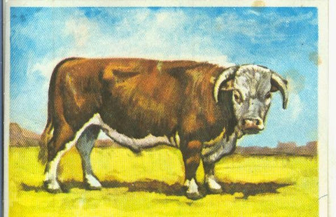 Cromos: Historia Natural numero Zoologia, cromo fuera de serie