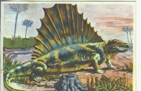 Cromos: Historia Natural numero Saurio ?