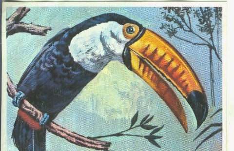 Cromos: Historia Natural numero Tucan