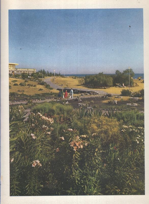 Gran Canaria: Lamina 18: San Agustin