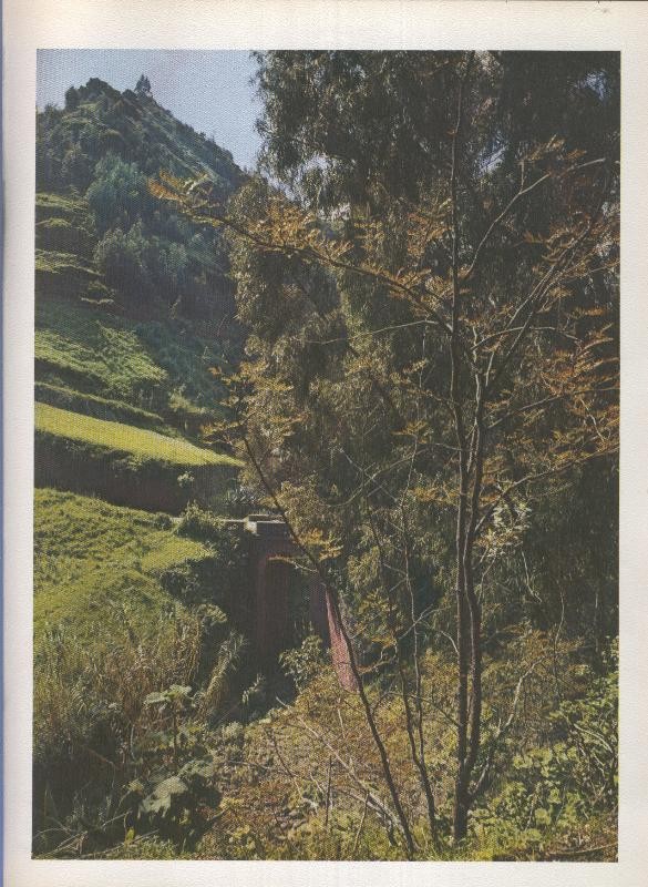 Gran Canaria: Lamina 33: Camino de las cumbres