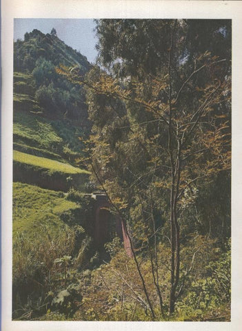 Gran Canaria: Lamina 33: Camino de las cumbres