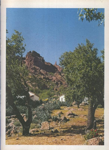 Gran Canaria: Lamina 43: Valle de Tejeda