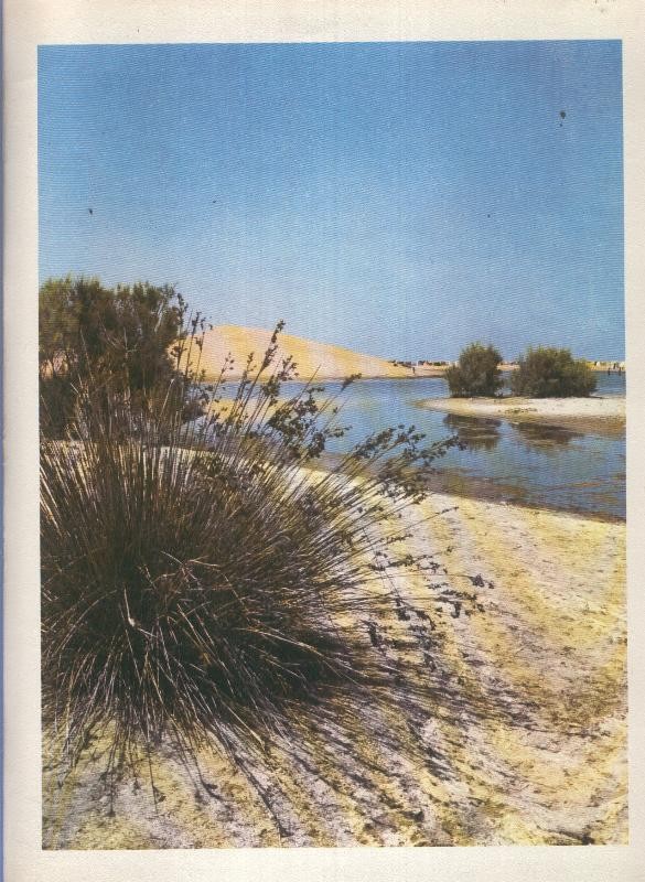 Gran Canaria: Lamina 47: Albufera de Maspalomas