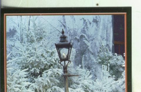 Cromos: Narnia numero 046