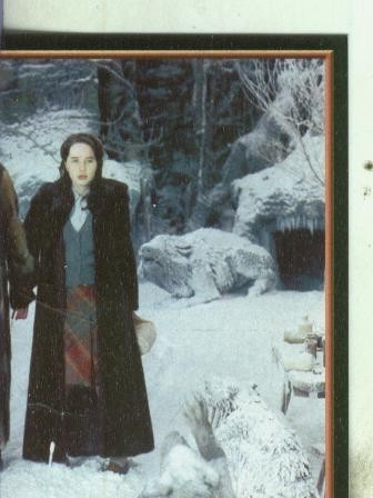 Cromos: Narnia numero 054