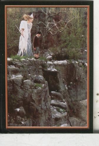 Cromos: Narnia numero 087