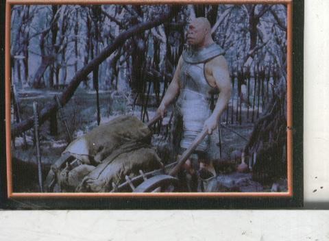 Cromos: Narnia numero 089