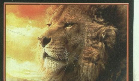 Cromos: Narnia numero 118