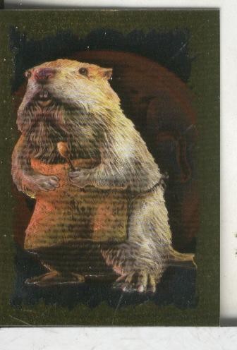 Cromos: Narnia letra I
