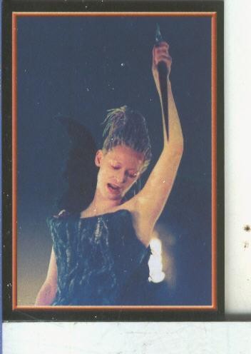 Cromos: Narnia numero 116