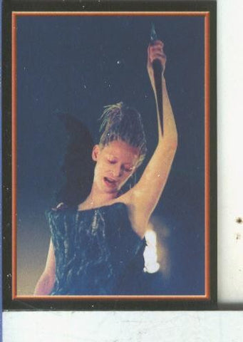 Cromos: Narnia numero 116