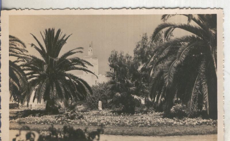 Postal  B/N 0170 : Mazagan: Square Gallieni et Mosquee, Editions La Cigogne-Casablanca
