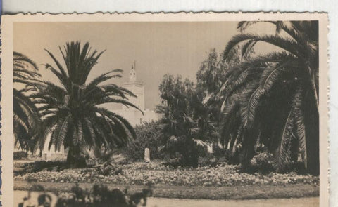 Postal  B/N 0170 : Mazagan: Square Gallieni et Mosquee, Editions La Cigogne-Casablanca