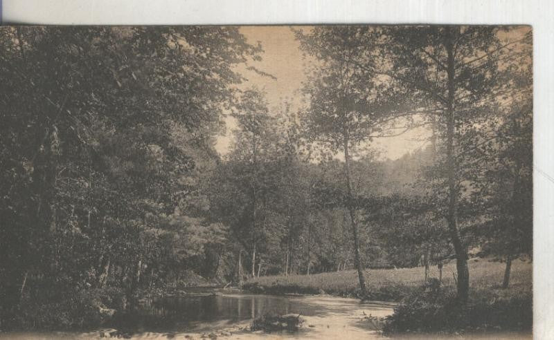 Postal  B/N 0157 : Parc de L,Ardoisiere-Les Bords su Sichon en Vichy (Francia)