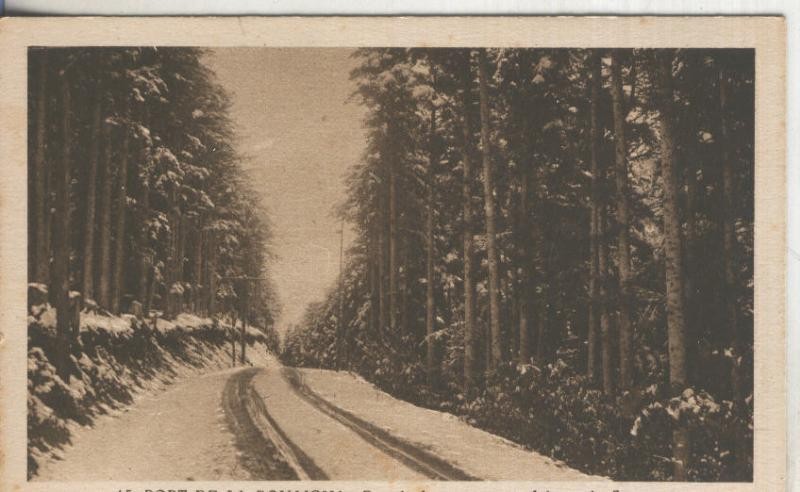 Postal  B/N 0156 : Port de la Bonaigua-Pas de la carreta pel bosc de sorpe