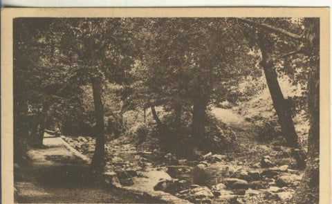 Postal B/N 0228 : Cami de les  Fonts  de Montsoli de Sant Hilari Sacalm, fototipia Thomas