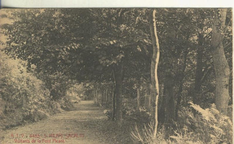 Postal B/N 0230 : Voltants de la font Picant de Sant Hilari Sacalm, Ed.Angel Toldra
