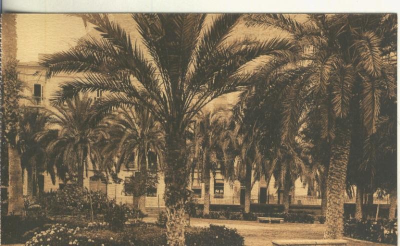 Postal B/N 0251 : Paseo de Ramiro de Alicante