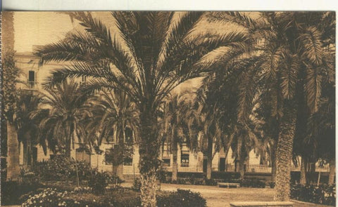 Postal B/N 0251 : Paseo de Ramiro de Alicante