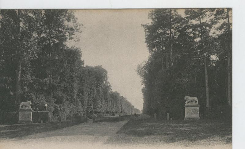 Postal B/N 0296 : Chateau de Chantilly: L,allee de l,Entrainement