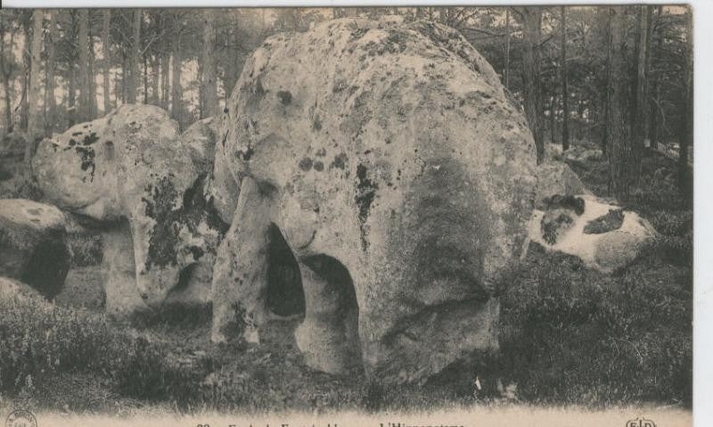 Postal B/N 0367 : Fontainebleau: L,hippopotame