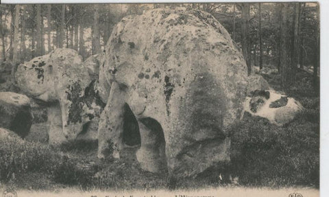 Postal B/N 0367 : Fontainebleau: L,hippopotame