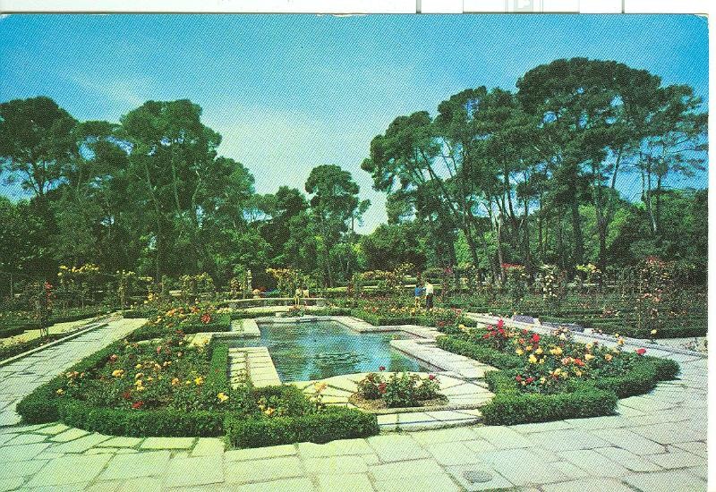 Postal 6453 : Rosaleda del parque del retiro, Madrid