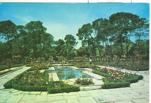 Postal 6453 : Rosaleda del parque del retiro, Madrid
