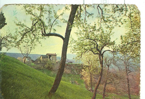 Postal 6461 : Paisaje rural ?