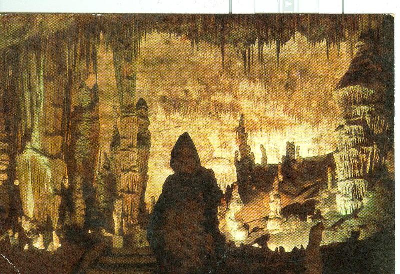 Postal 6475 : Cuevas del Drach, Mallorca: Monjes y Cactus