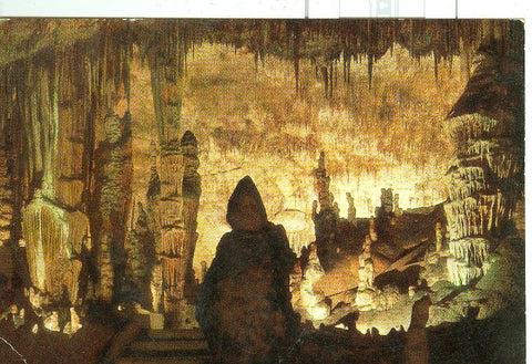 Postal 6475 : Cuevas del Drach, Mallorca: Monjes y Cactus