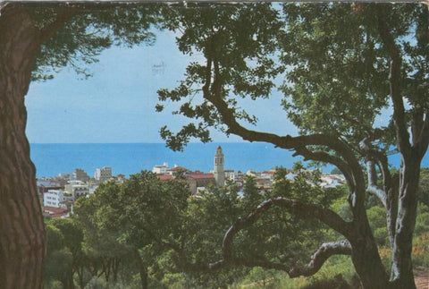 Postal 6796: Calella: vista parcial