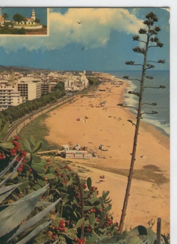 Postal 6806: Calella: vista geneal de la playa  