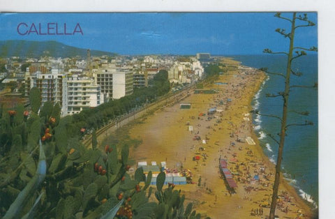 Postal 6811: Calella: vista general de la playa