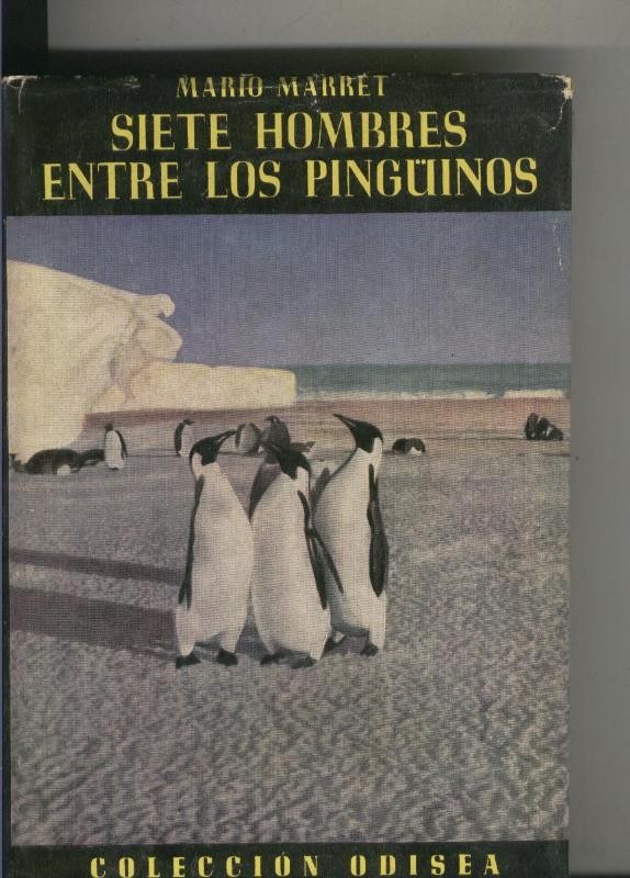 Siete hombres entre los pinguinos