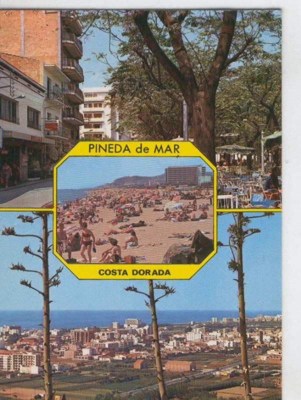 Postal 6992 : Pineda de Mar, vistas varias