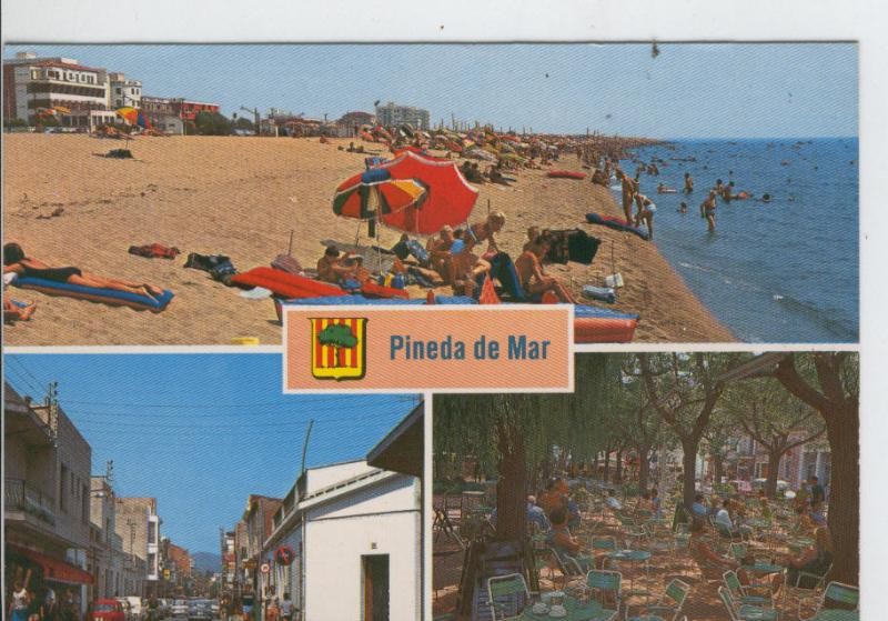 Postal 7028 : Pineda de Mar, vistas varias