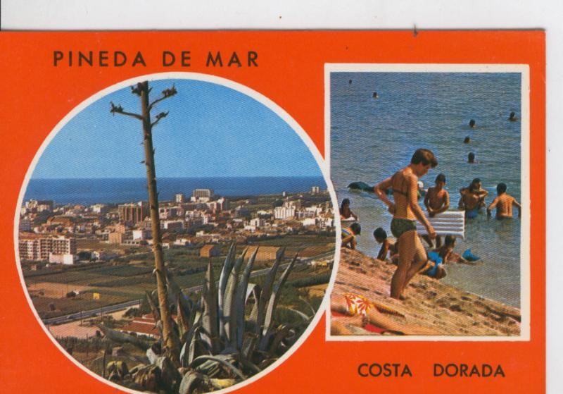 Postal 7029 : Pineda de Mar, vistas varias