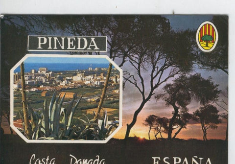 Postal 7039 : Pineda de Mar: vista general