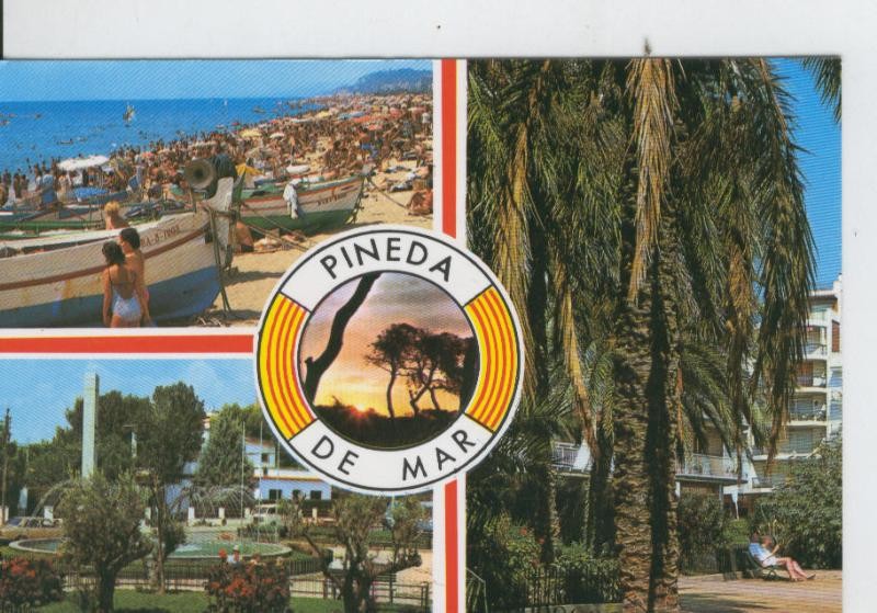 Postal 7041 : Pineda de Mar: vistas generales