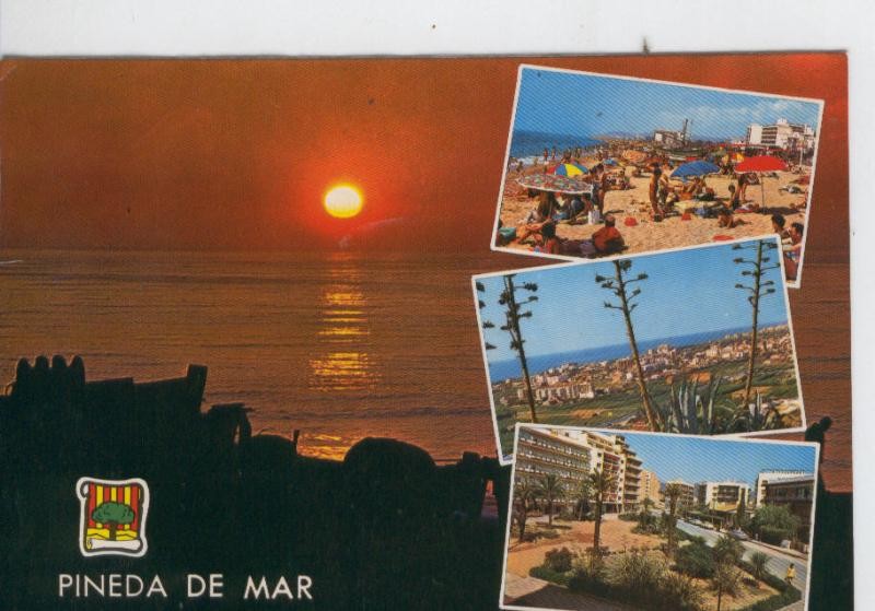 Postal 7051 : Pineda de Mar: vistas