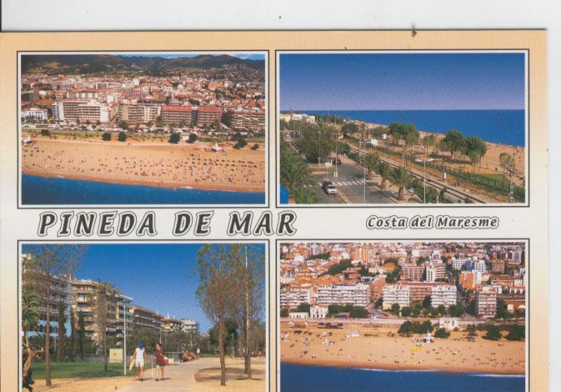 Postal 7055 : Pineda de Mar: vistas