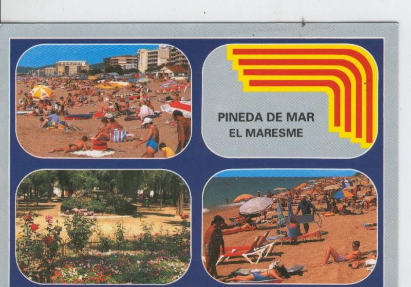 Postal 7061 : Pineda de Mar: vistas